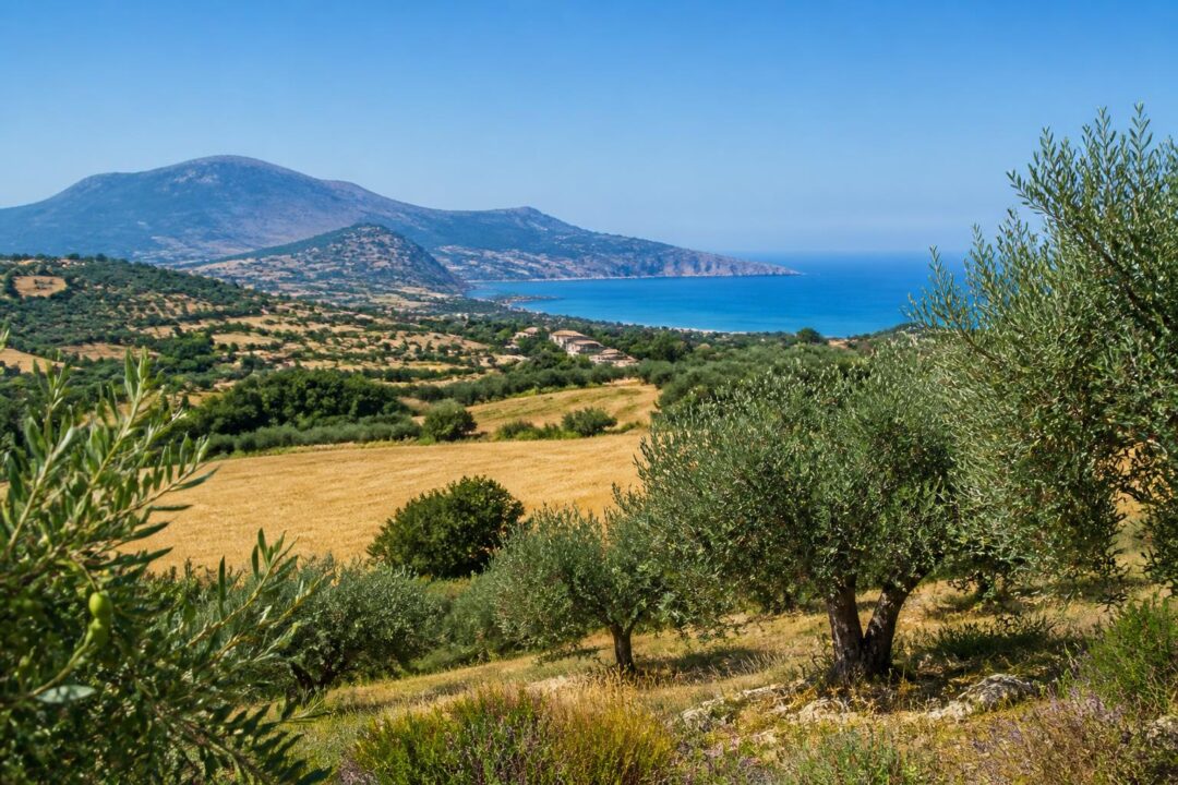 scopri le vacanze nell'agro ericino con la nostra guida completa alla sicilia occidentale: arte, cultura, paesaggi e tradizioni ti aspettano per un viaggio indimenticabile.